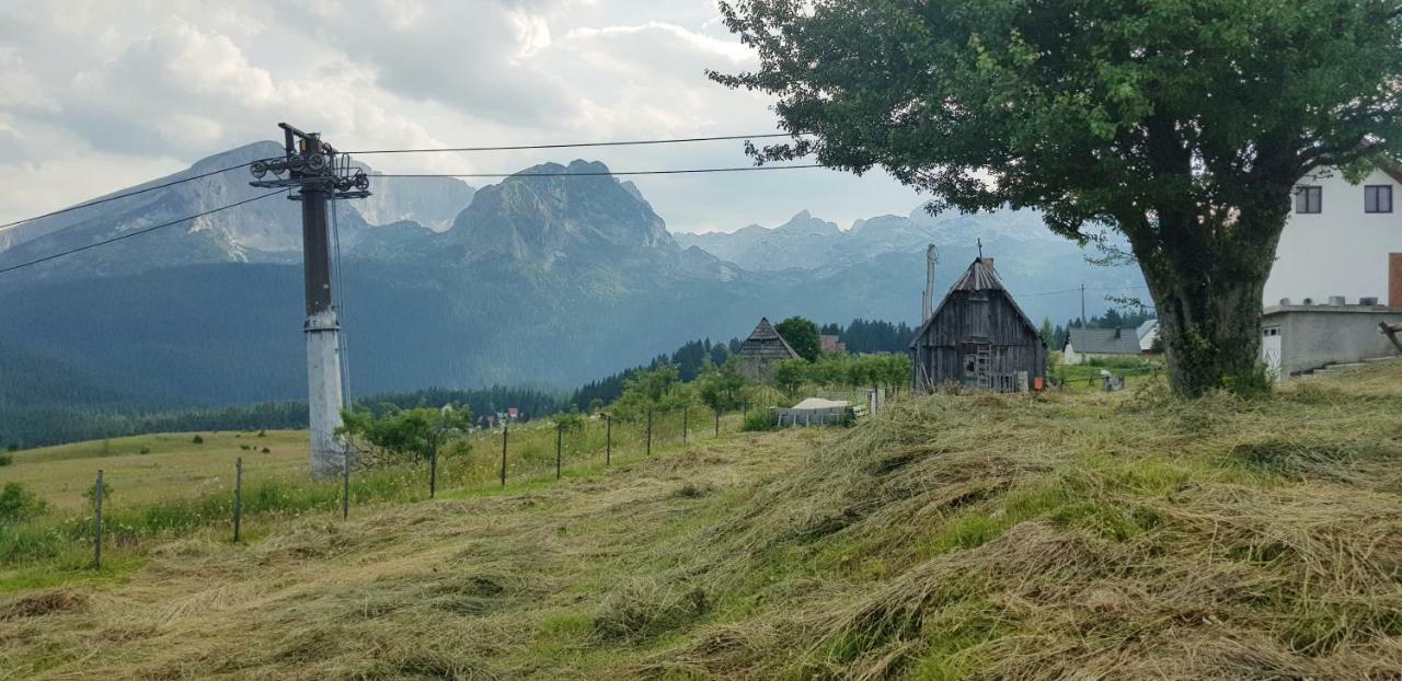 Studio Apartment Pitomine Žabljak Kültér fotó
